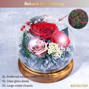 Vente en gros Boîte-cadeau de fleurs conservées à LED Trois roses pour toujours roses avec feuilles vertes et mousse dans une bouteille en verre - Product Image 5