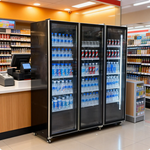 Refrigerador Vertical de Una Puerta con Ventilador para Bebidas, Equipo de Refrigeración Comercial - Product Image 2