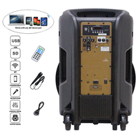 Sistema de Karaoke Inalámbrico con Subwoofer de 300W y 18 Pulgadas, Pantalla LED, Micrófono, FM, Audio Bidireccional, Crossover, Batería de 4000mAh, Profesional para Computadora
