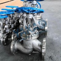 Vanne à soupape OS&Y de haute qualité 316L/304/CF8M/CF3M/Duplex 2507 2"/4"/6"/8"/10" DN50/DN100/DN150/DN200/DN250 Classe 300