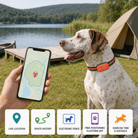 Traceur GPS pour animaux de compagnie G51, compact et élégant, suivi de localisation précis, historique des itinéraires, géofencing, surveillance de la santé