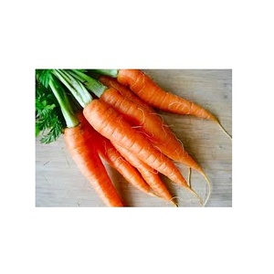 Cà Rốt Hữu Cơ Tươi Việt Nam-Cà Rốt Giá Rẻ (MS.HOLIDAY) - Product Image 1