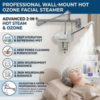 Vaporisateur facial mural professionnel pour salon, ozone, vapeur chaude, soin de la peau, équipement de beauté spa