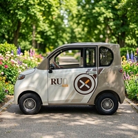 Mini Coche Eléctrico Cerrado de 4 Ruedas para Adultos, con Ruedas de Aluminio, 265*145*165cm, Económico, con Certificación CE, en Oferta