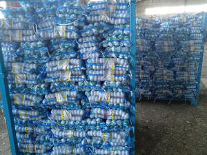 Alho Branco Normal 5 unidades/saco com Palete - Product Image 4