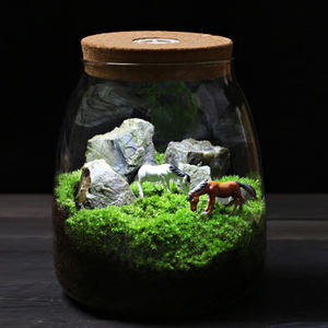 Kit de <span class=keywords><strong>terrarium</strong></span> de bricolage <span class=keywords><strong>Terrarium</strong></span> de mousse à verre pour plantes avec couvercle en liège <span class=keywords><strong>Terrarium</strong></span> de plantes à air - Product Image 2