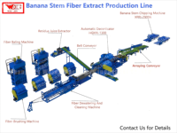 Machine d'extraction de fibre de banane entièrement automatique, capacité de 5 tonnes/heure pour la culture de bananes à grande échelle et l'utilisation de textiles