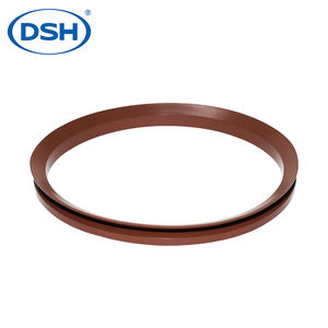 NBR FKM VA160 مكبس هيدروليكي ختم مزدوج التمثيل للآلات الثقيلة - Product Image 6