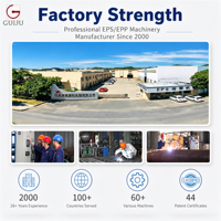 Machine de production automatique de boîtes en polystyrène expansé (EPS) pour poissons, légumes et fruits, contrôlée par PLC, à moteur hydraulique, haute productivité