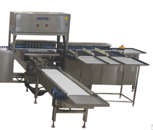 2025 ZENYER 104BZ, мелкомасштабный грейдер для яиц из нержавеющей стали, электронное взвешивание с емкостью 10000 с обработкой яиц 4 сортов - Product Image 6