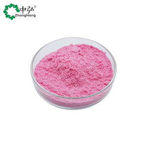 Organik sertifikalı dondurularak kurutulmuş meyve çilek tozu toptan fabrika fiyat bitki özü - Product Image 3