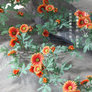 ดอกเดซี่ประดิษฐ์สูง 1.8 เมตร ดอกไม้พลาสติกผสมไหมเสมือนจริง สำหรับตกแต่งบ้านและหน้าร้าน - Product Image 1