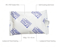 Vente flash - Bloc de glace réutilisable en gel 13x8cm, qualité alimentaire, pour le transport de denrées alimentaires, échantillon gratuit fourni
