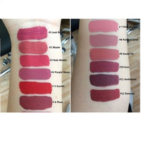 Set de Regalo de Cosméticos para Mujer, Marca Privada OEM ODM, 6 Colores, Lápiz Labial Líquido Mate de Larga Duración, Resistente al Agua y Antiadherente