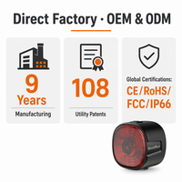 Lampe de poche LED rechargeable OEM personnalisée, portable, 19g, ABS PC, légère, haute luminosité, 100H, feu arrière pour vélo de route et VTT