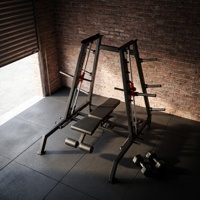 Machine de musculation multifonctionnelle inclinable Smith Rack, portable, construction robuste en acier, pour salle de sport commerciale ou privée