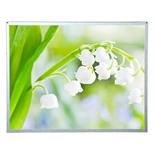 Módulo de pantalla LCD TFT LM215WF3-SLS1 de 21.5 pulgadas completamente nuevo con resolución de 1920X1080, 102 PPI y 30 pines LVDS en CN - Product Image 1