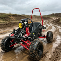 Quad utilitaire tout-terrain électrique 2000W 90KMH 60V 50Ah pour location commerciale, retour sur investissement élevé, personnalisation OEM, approvisionnement direct usine