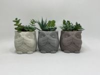 Pot de fleurs en ciment écologique, décoratif, carré, pour balcon, paysage, utilisation au sol, plante succulente, mignon