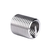 M6 Fine Fastener 304 Stainless Steel Invisible Threaded Insert Fastener Manufacturer's High Quality Product