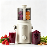 Slow Juicer Koudpers Masticating Machine 99% Hoge Sapopbrengst Voedingsrijke Fruit- en Groentesmoothie 2.5L Stille DC Motor