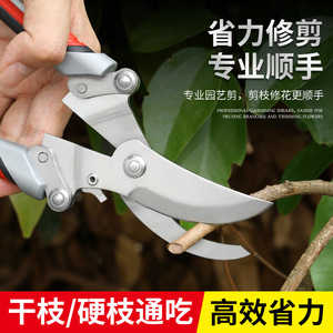 Tijeras de podar de acero inoxidable de 20.5 cm con mango verde, tijeras de podar manuales para ramas de árboles de jardín, para recortar de 10-20 mm - Product Image 4