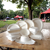 Assiettes en papier de bagasse biodégradables de 9 pouces écologiques et jetables vertes pour fast-food, compostables pour les fêtes et les restaurants
