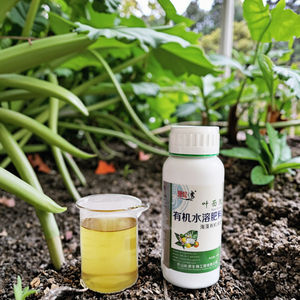 Чистый органический жидкий экстракт морских водорослей - Product Image 1