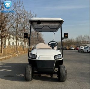 Carritos de Golf Eléctricos de 2 Plazas, Modelo Popular, Personalizados, Todoterreno, Vehículo de Recepción, Carrito de Golf de Patrulla para Uso en Carreteras No Públicas - Product Image 2