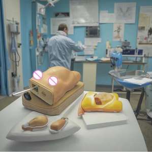 Infirmière formation Science médicale ordinateur modèle anatomique pour <span class=keywords><strong>femme</strong></span> <span class=keywords><strong>enceinte</strong></span> <span class=keywords><strong>femme</strong></span> <span class=keywords><strong>enceinte</strong></span> bassin <span class=keywords><strong>enceinte</strong></span> bassin féminin humain - Product Image 4