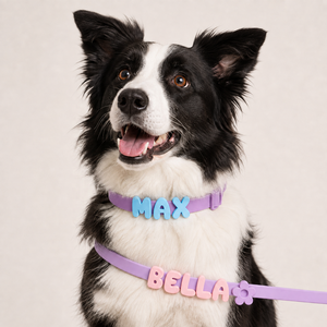 Nouveau <span class=keywords><strong>collier</strong></span> <span class=keywords><strong>pour</strong></span> animaux de compagnie en gel de silicone, personnalisable <span class=keywords><strong>avec</strong></span> nom, lettres de dessin animé douces, <span class=keywords><strong>pour</strong></span> chats et chiens - Toutes saisons, thème Halloween - Product Image 5