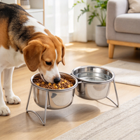 Bol de nourriture/eau séparé pour animaux de compagnie en acier inoxydable 304, 2 en 1, épaissi, antidérapant, anti-renversement, surélevé pour chiens, chats et chiots