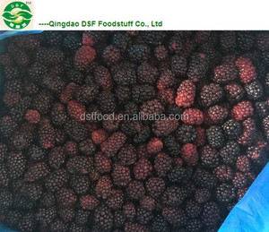 Fornitura all'Ingrosso a Prezzo di Fabbrica, Mora Congelata IQF di Grado Premium per Frullati e Succhi - Product Image 2