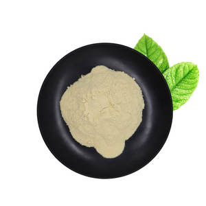 Pabrik grosir makanan kelas murni ekstrak kulit jeruk 94% metil <span class=keywords><strong>Hesperidin</strong></span> bubuk bentuk dalam 1kg kemasan Drum - Product Image 2