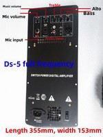 Module amplificateur de puissance numérique Roland Crown Classe D DS-5DS1300, carte audio active, carte de basses numérique pleine fréquence, mono 220V, pour scène et KTV