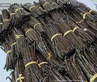 Vanille Harvest, gousses de vanille séchées au soleil, 1 kg/2 kg, emballage personnalisé, logo graphique, service OEM, vente en gros, pure vanille bourbon de Madagascar