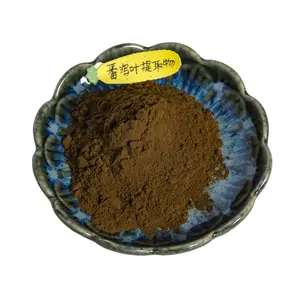 Factory Supply Wholesale Bulk Senna Leaf Extract Senna Leaf Extract Powder Sennosides
