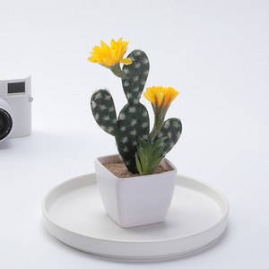 Decorazione della tavola piccoli <span class=keywords><strong>fiori</strong></span> finti in vaso all'ingrosso <span class=keywords><strong>cactus</strong></span> artificiale <span class=keywords><strong>con</strong></span> piccoli verdi succulenti - Product Image 4