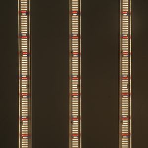 Luces LED de Cultivo Agrícola de Espectro Completo, Diseño de Alta Eficiencia para Sistemas Hidropónicos Profesionales - Product Image 4