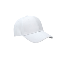 Gorras de Golf Personalizadas ODM/OEM, 100% Poliéster, con Orificios Cortados con Láser, Impermeables, con Parche de Goma, Modelo [Número de Modelo]