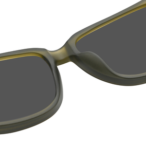 Wenzhou Lenlookサングラス2025,男性TR90ブラックフレーム高級プリント寺院サングラスロゴカスタム - Product Image 6