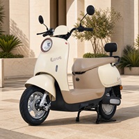 Motocicleta Eléctrica Lista para Distribución, para Adultos, con Gran Absorción de Impactos, Asiento Amplio, para Desplazamientos Urbanos