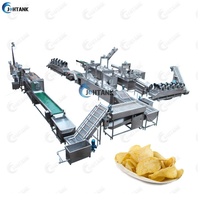 Best Verkopende Automatische Industriële Chips Bevroren Frietjes Lijn Nieuwe Friteuse Friteuse Voor Groentefruit Verwerking Voedselverwerking