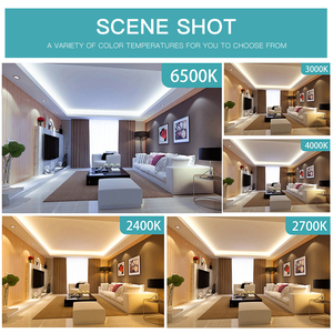 Osramled Flex Led Strip 5 M/cuộn Dimmable Led Strip 24V Flex BF G3 Dẫn Dải 400lm 800lm - Product Image 5