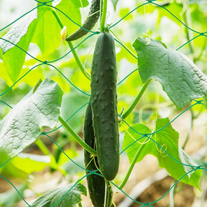 Rau leo vining cây phát triển LỀU 5x350 trellis lưới cho leo cây - Product Image 3