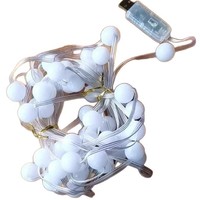 Guirlande lumineuse LED RGB intelligente USB à commande ponctuelle, en cuir, avec télécommande via application, étanche IP65, pour décoration, vente en gros fabricant