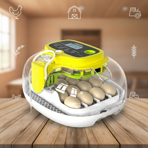 WONEGG HHD M16Pro Couveuse automatique pour œufs <span class=keywords><strong>de</strong></span> <span class=keywords><strong>perroquet</strong></span> à <span class=keywords><strong>vendre</strong></span>, fabriquée en Chine, accessoires pour poulets et oies - Product Image 1