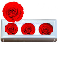 Vente en gros de têtes de roses séchées naturelles de 7-8 cm pour les arrangements floraux de la Saint-Valentin, Noël et du Nouvel An