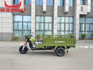 OEM & ODM 2025 Vente chaude Tricycle cargo KAINIU <span class=keywords><strong>Ochi</strong></span> 25 Edition avec double éclairage, durable, haute capacité de transport - Product Image 4