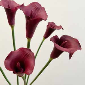 D-219 Fleurs artificielles de lys Cala de haute qualité, toucher réel, couleur <span class=keywords><strong>bordeaux</strong></span>, en PU, pour <span class=keywords><strong>la</strong></span> décoration de mariage et de <span class=keywords><strong>la</strong></span> maison - Product Image 5